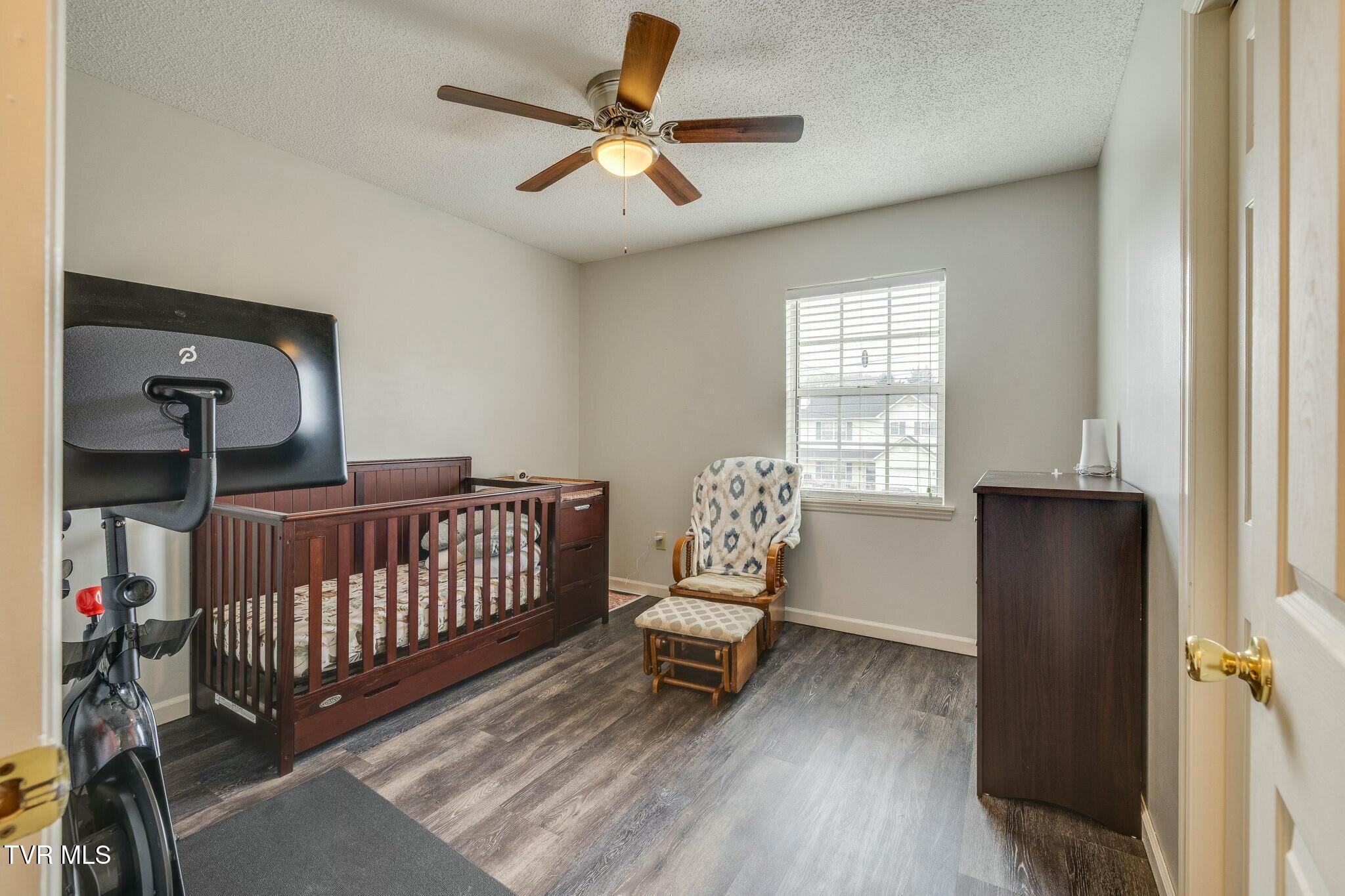 254 Springview Drive Gray, TN 37615 - Photo 23 of 32 tempImagetUow1k