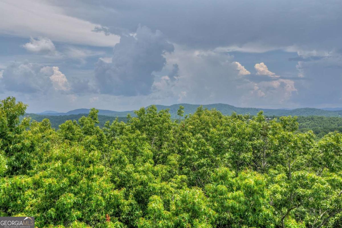 0 Scots Glen Road Mineral Bluff, GA 30559 - Photo 17 of 19