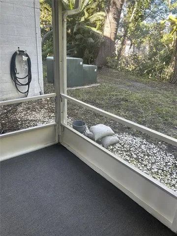 a view of a forest with trees in the background