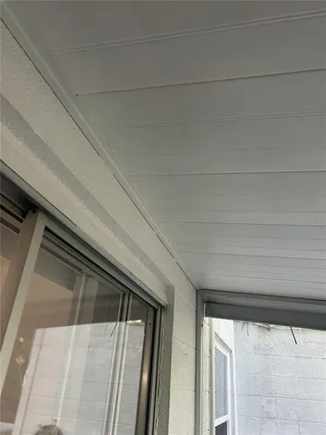 a view of a forest with trees in the background