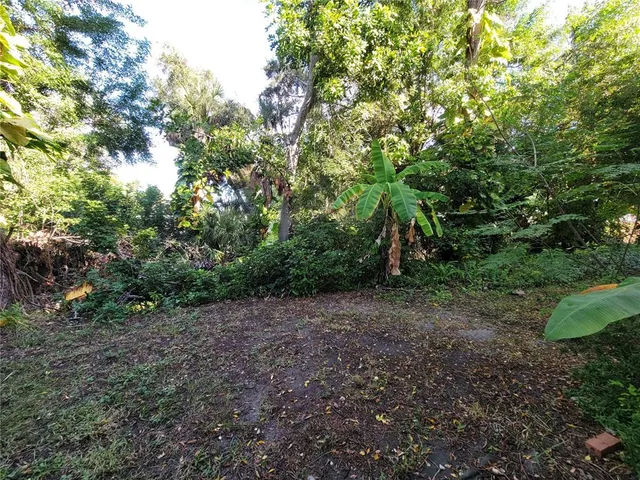 a view of a tennis ground with large trees