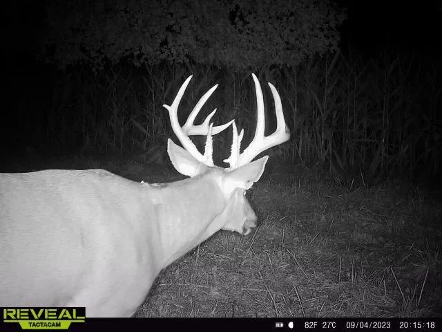 $649,900 | 117 Road Moberly Mo 65263, Madison, MO 65263