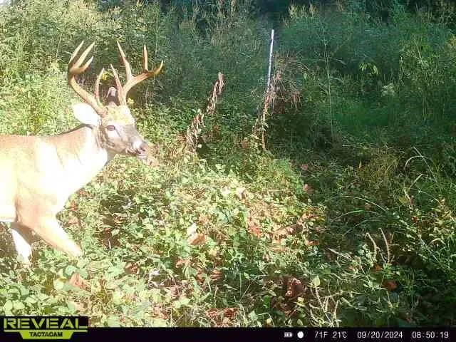 $649,900 | 117 Road Moberly Mo 65263, Madison, MO 65263