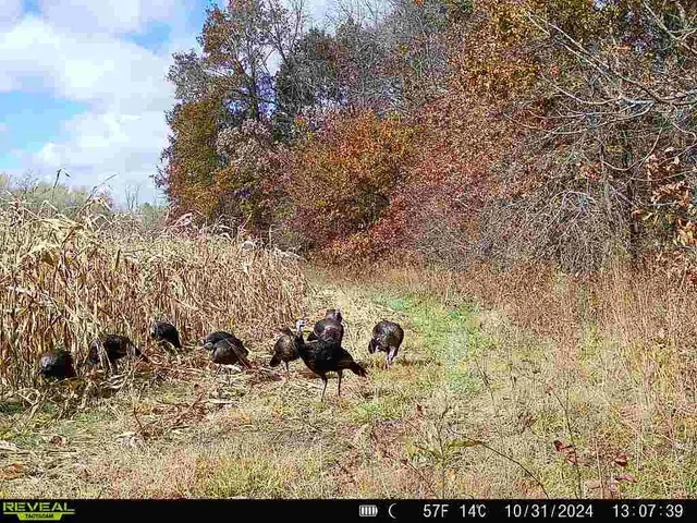 $649,900 | 117 Road Moberly Mo 65263, Madison, MO 65263