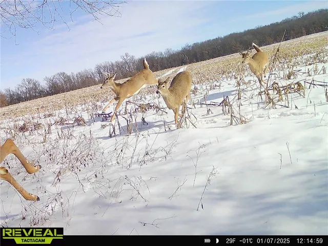 $649,900 | 117 Road Moberly Mo 65263, Madison, MO 65263