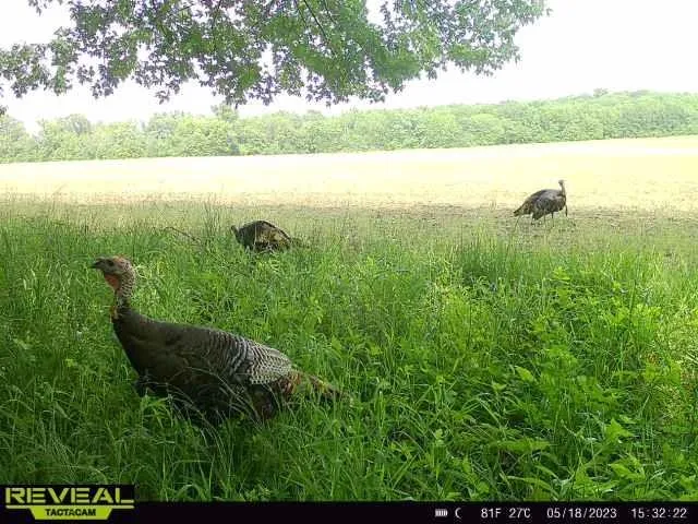 $649,900 | 117 Road Moberly Mo 65263, Madison, MO 65263