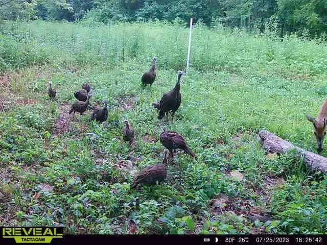 $649,900 | 117 Road Moberly Mo 65263, Madison, MO 65263