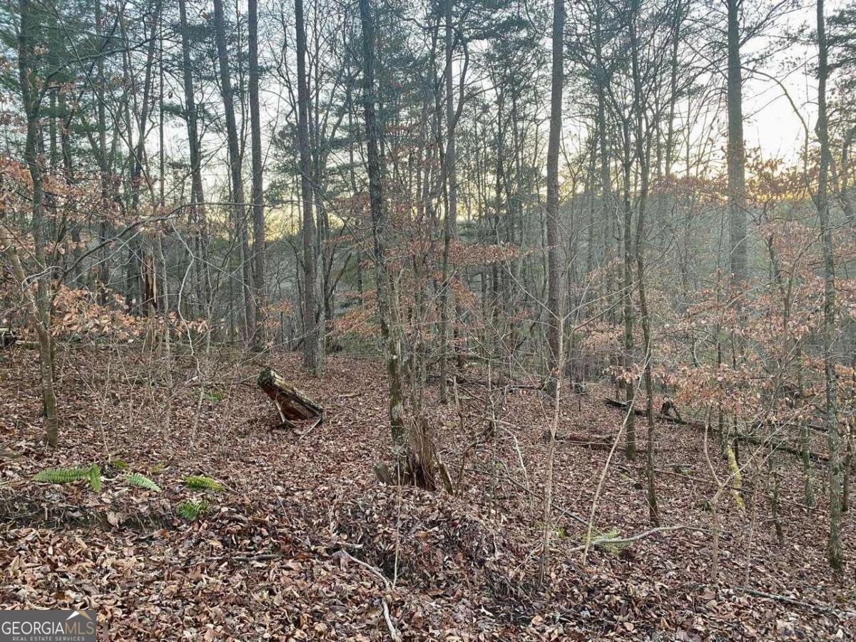 0 Shade Tree Drive Talking Rock, GA 30175 - Photo 1 of 1 a view of a forest with a trees