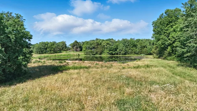 a view of outdoor space and yard