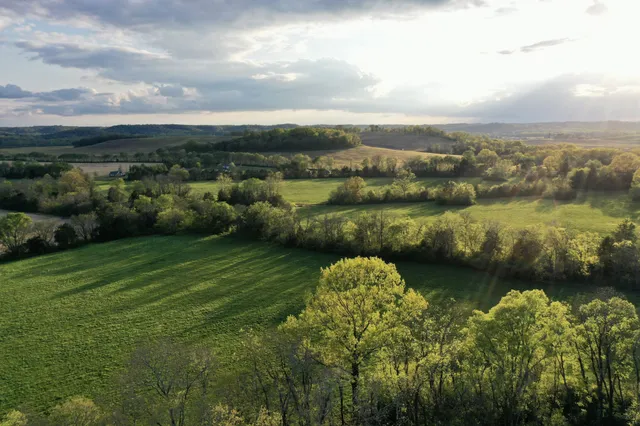 a view of a lake with a city