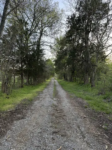 a view of a park with large trees