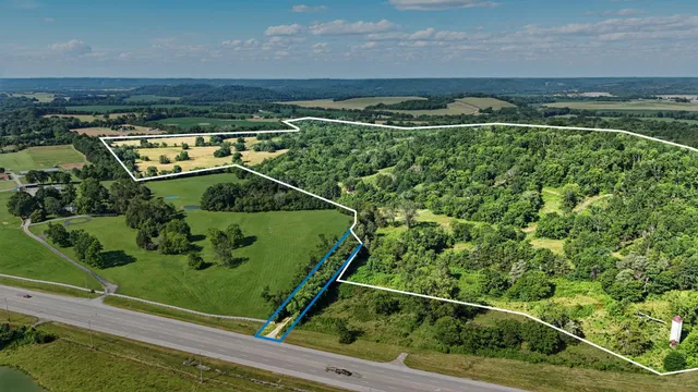 a view of a yard with plants