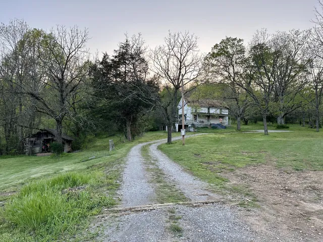 a view of a trees in a yard