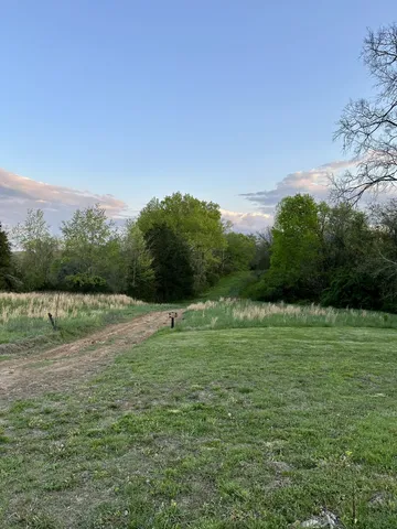 a view of a lake with a mountain in the background