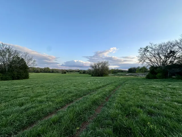 a view of an outdoor space with green field and trees