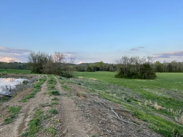 a view of field with grass