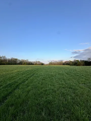 a view of a golf course with the trees