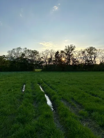 a view of a lake with houses in back