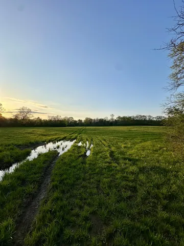a view of an ocean and a yard