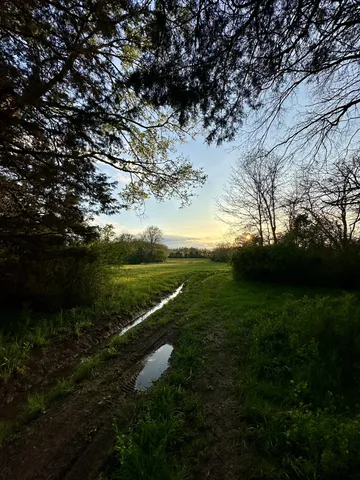 a view of a big yard