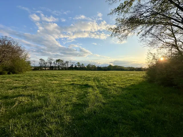 a view of lake with green space