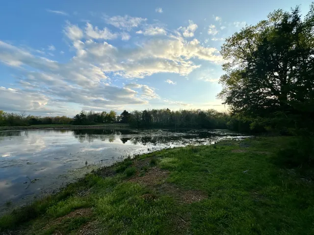 a view of a big yard of grass and an tree