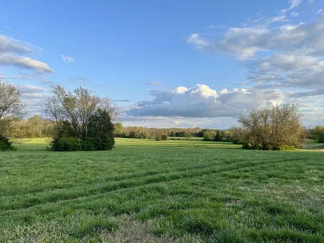 a view of a lush green outdoor space with a lake view