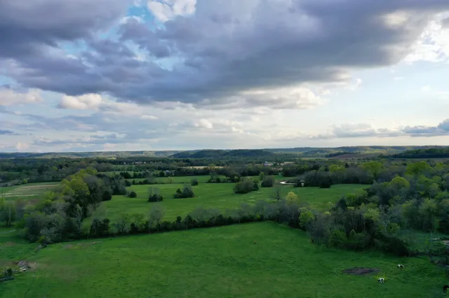 a view of a city with lush green forest