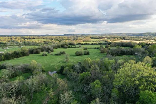 a view of a green field with lots of bushes