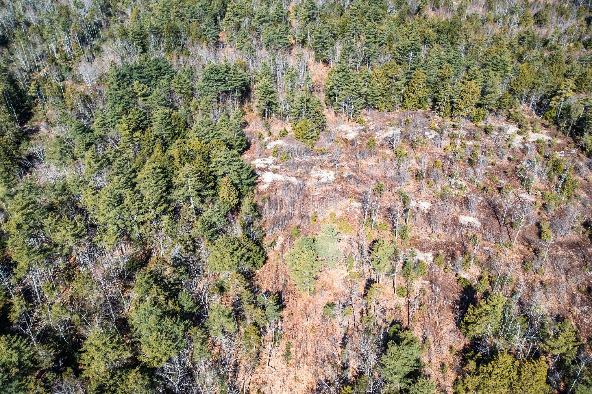 M9-l1 Middle Road Dresden, ME 04342 - Photo 9 of 11 Arial photo