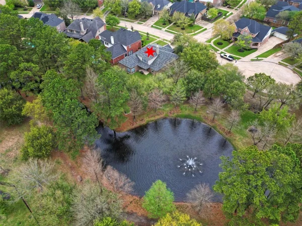 an aerial view of a tennis ground with large trees