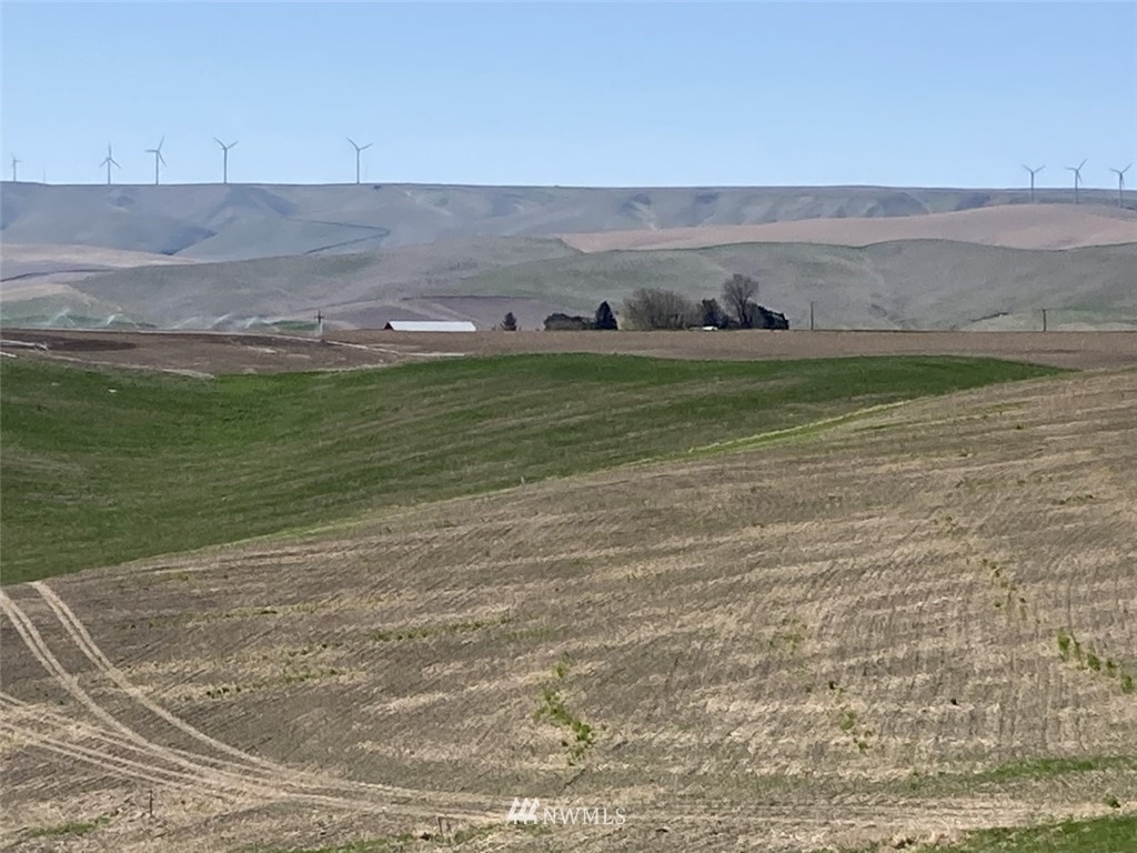2 Sand Pit Road Touchet, WA 99360 - Photo 16 of 16