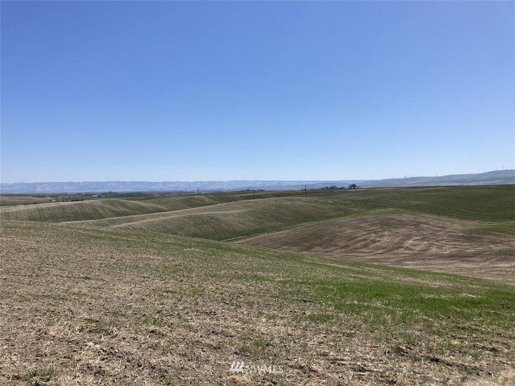2 Sand Pit Road Touchet, WA 99360 - Photo 3 of 16