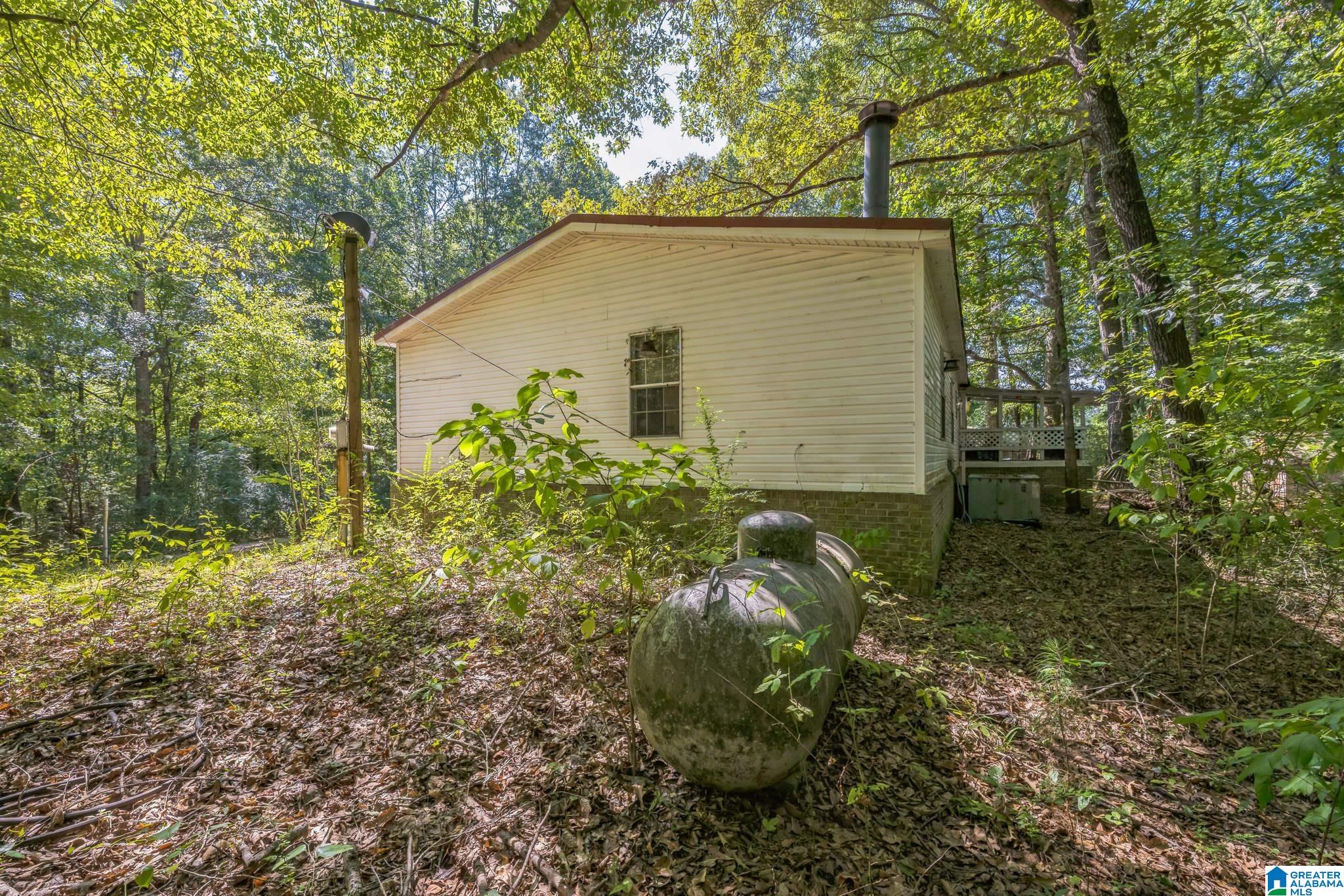 2873 Pineywoods Sipsey Road Jasper, AL 35504 - Photo 4 of 33