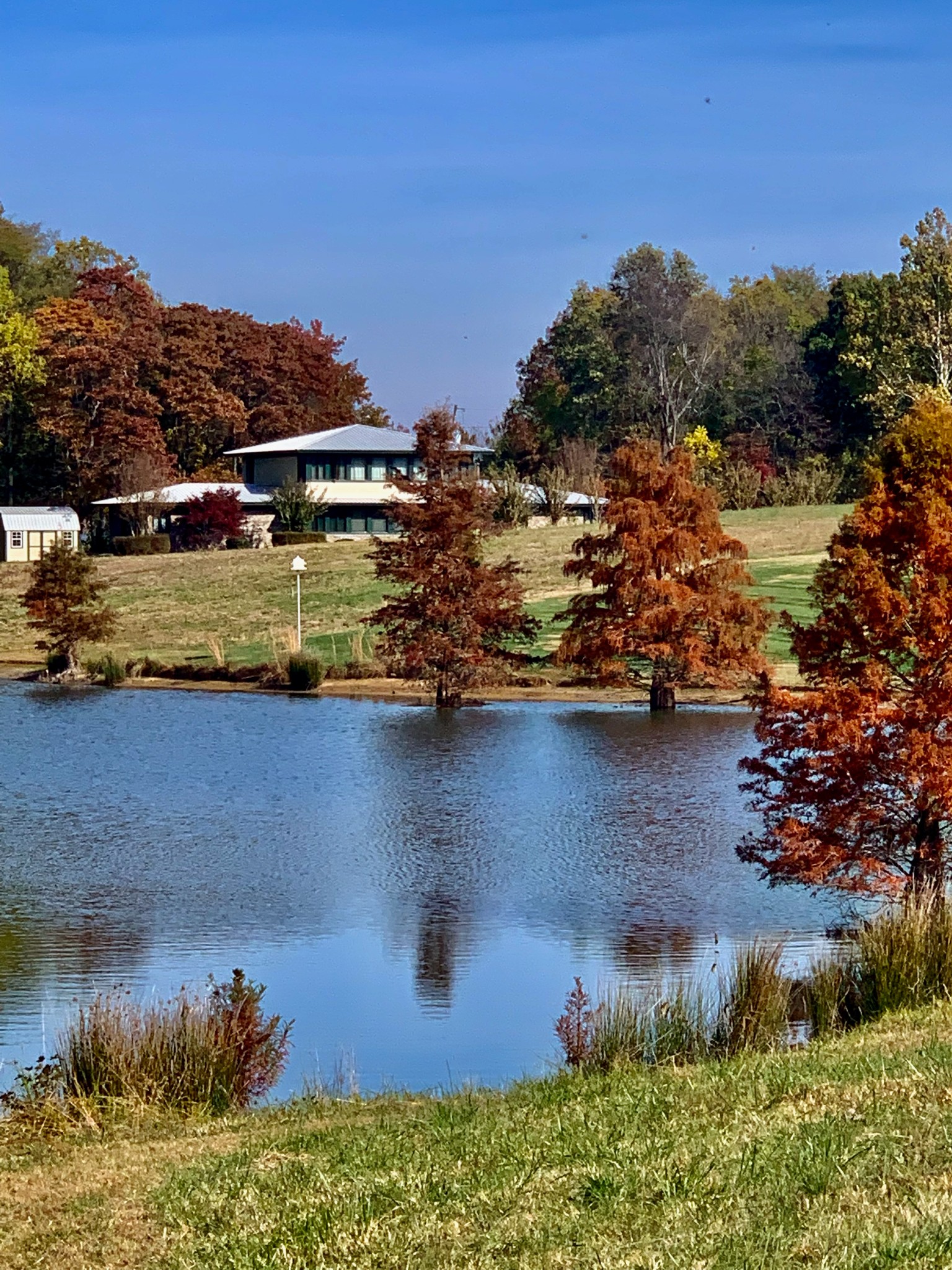 205 Lewis Lane Clinton, KY 42031 - Photo 54 of 86
