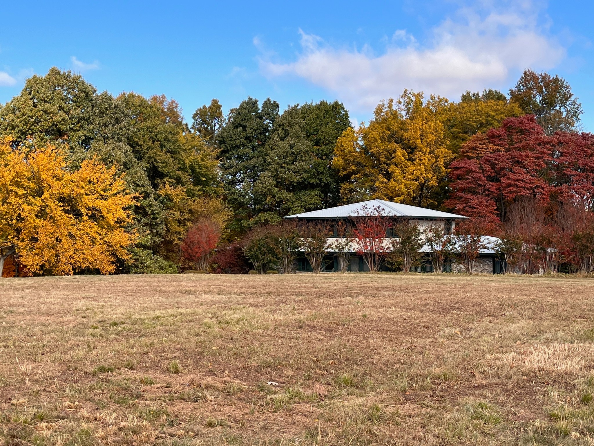 205 Lewis Lane Clinton, KY 42031 - Photo 59 of 86