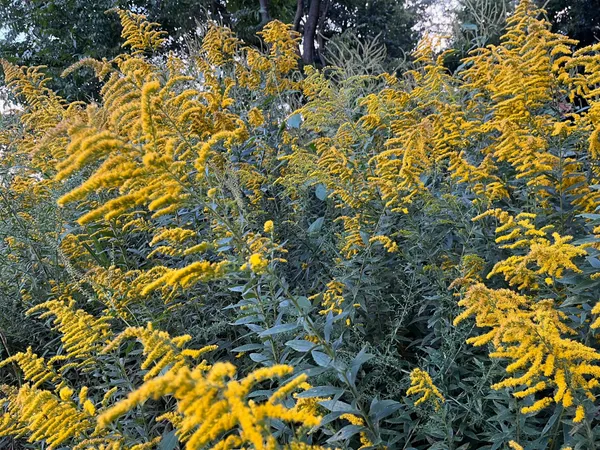 $450,000 | 205 Lewis Lane, Clinton, KY 42031