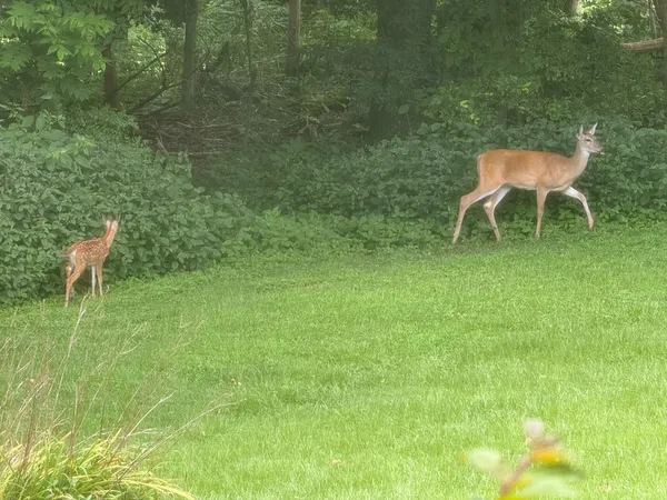 $450,000 | 205 Lewis Lane, Clinton, KY 42031