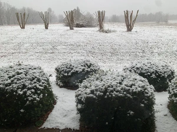 $450,000 | 205 Lewis Lane, Clinton, KY 42031