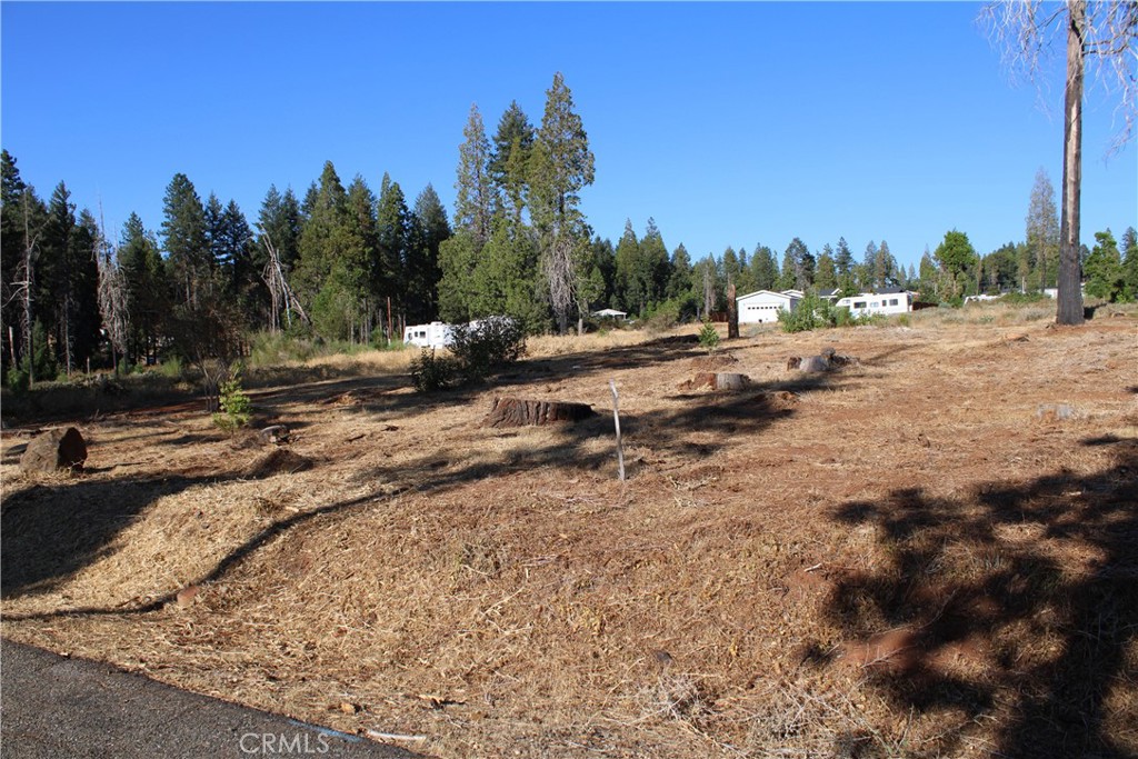 13914 Rutgers Court Magalia, CA 95954 - Photo 3 of 13