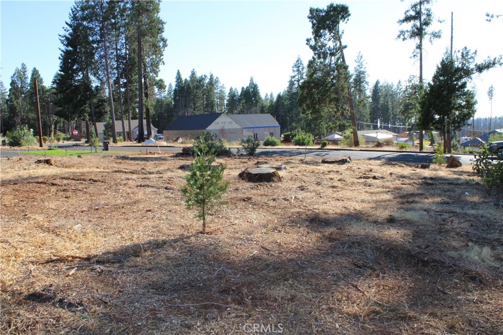 13914 Rutgers Court Magalia, CA 95954 - Photo 7 of 13
