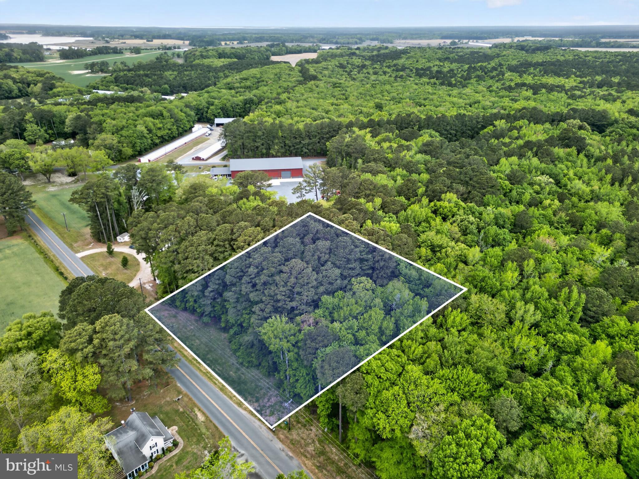 40 Revells Neck Road Westover, MD 21871 - Photo 2 of 20 a view of a garden