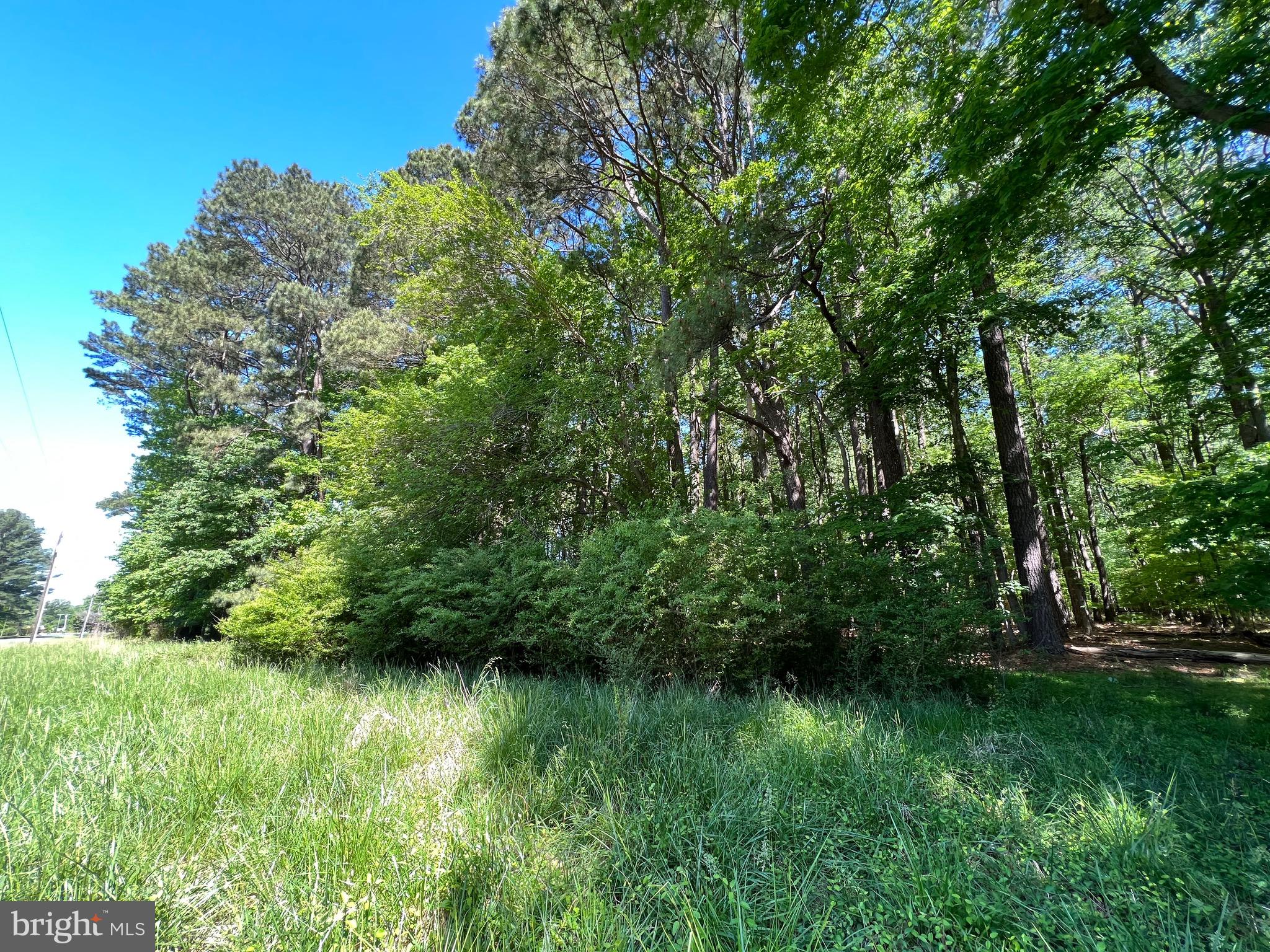 40 Revells Neck Road Westover, MD 21871 - Photo 8 of 20 a view of outdoor space and a yard