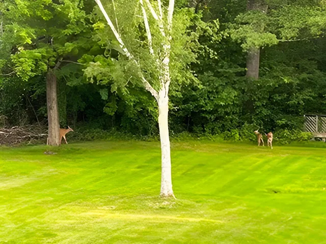 $345,000 | 6 On The Common, Unit 5, Lyme, NH 03768