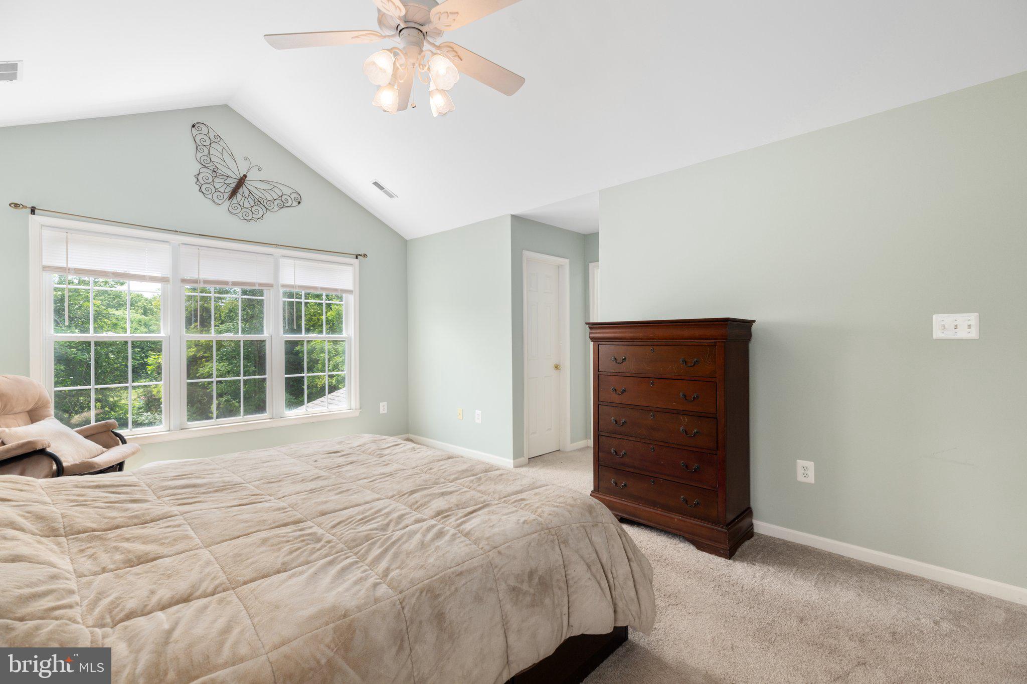 15460 Shadow Drive Culpeper, VA 22701 - Photo 17 of 50