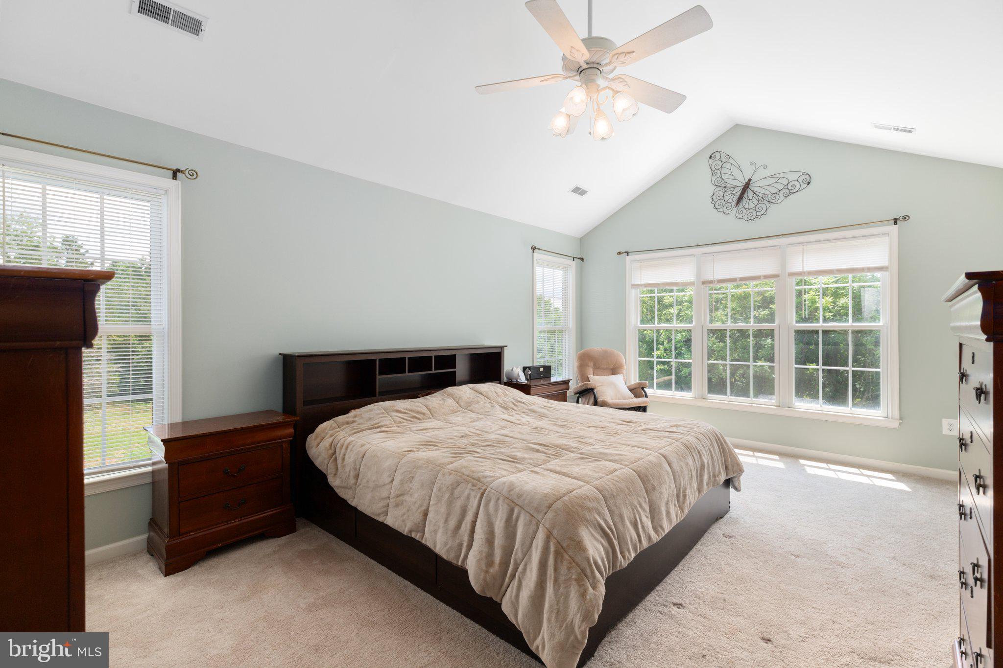 15460 Shadow Drive Culpeper, VA 22701 - Photo 19 of 50