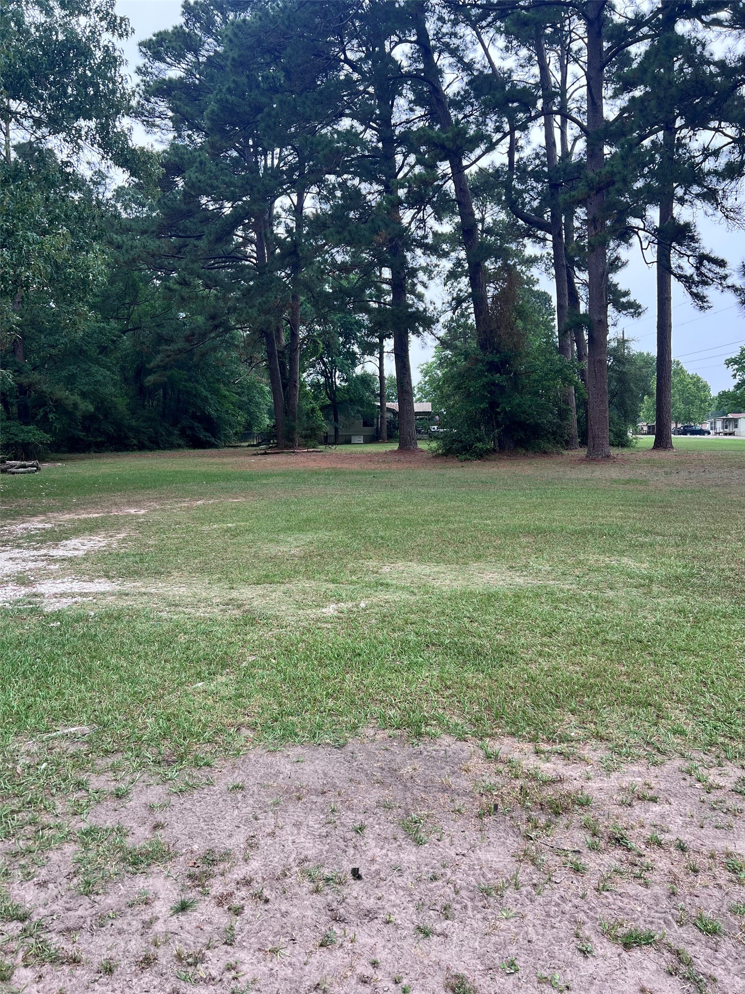 512 Cutter Drive Trinity, TX 75862 - Photo 5 of 21 Side yard on the right of house.