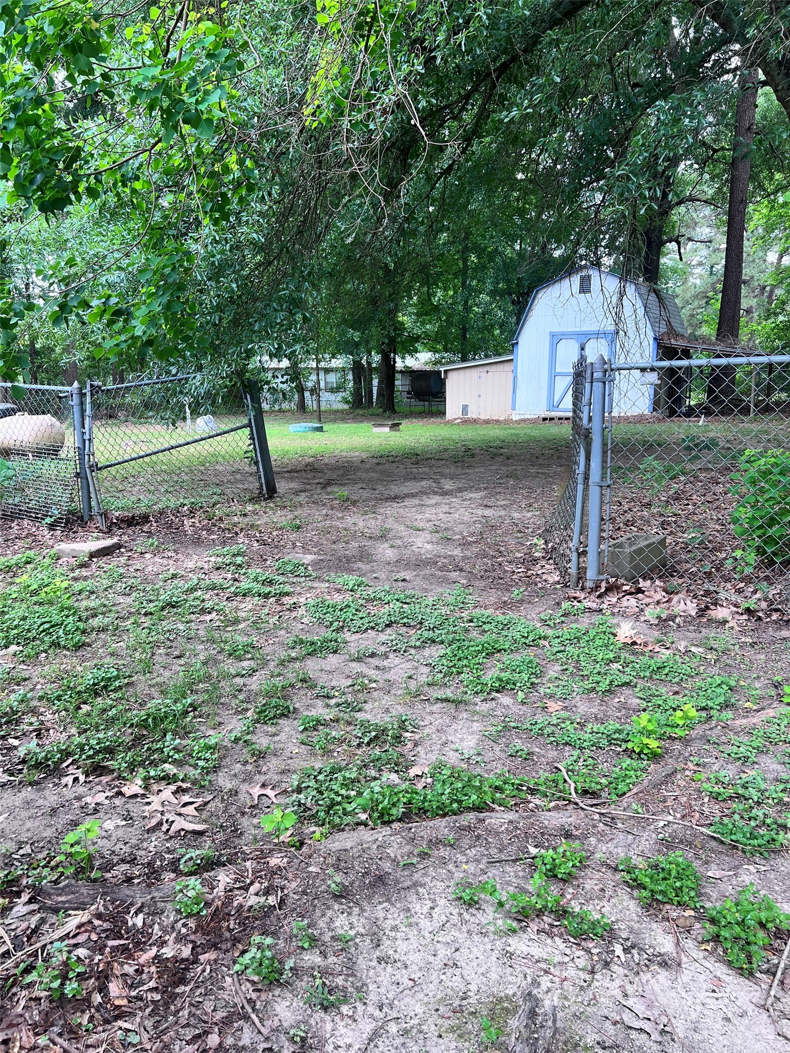 512 Cutter Drive Trinity, TX 75862 - Photo 6 of 21 Back yard behind house is fully fenced with a 12x12 storage building.