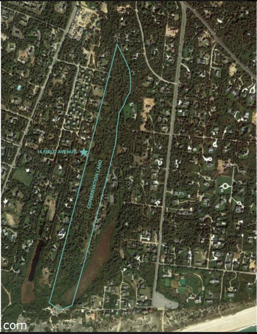 14 Field Avenue Nantucket, MA 02554 - Photo 40 of 42