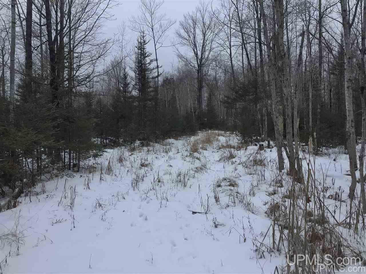 Tbd Swamp Road Powers, MI 49874 - Photo 29 of 30